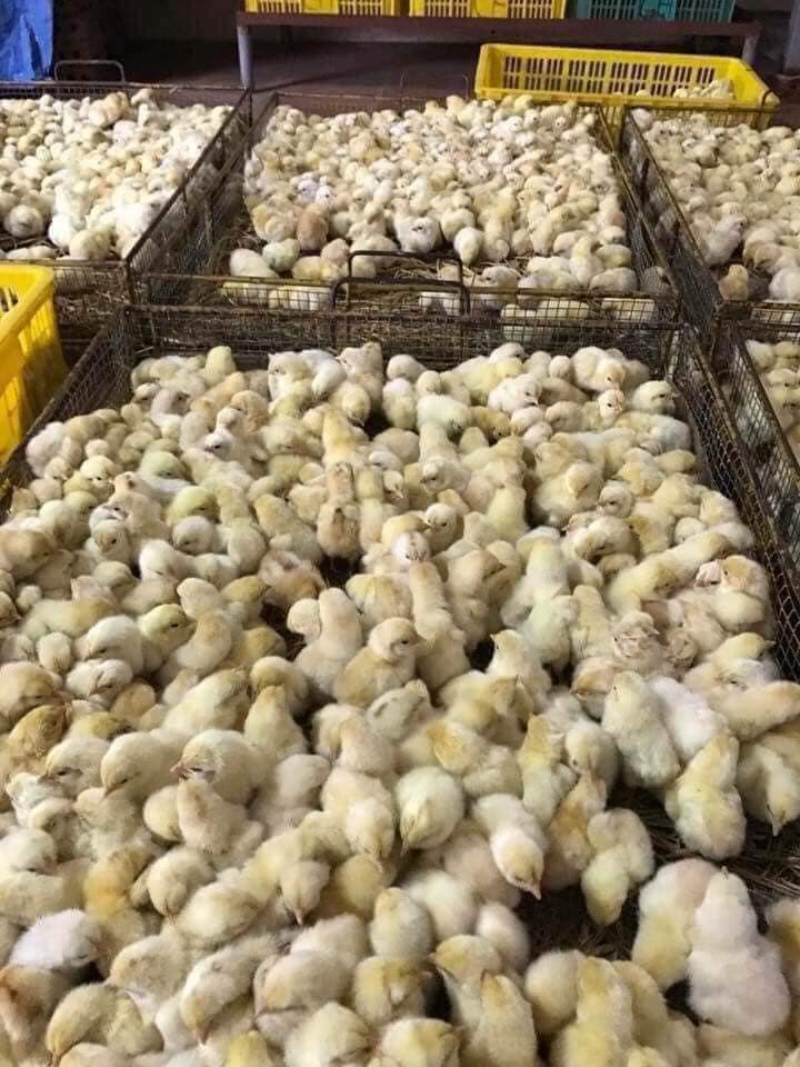 Sản phẩm chất lượng