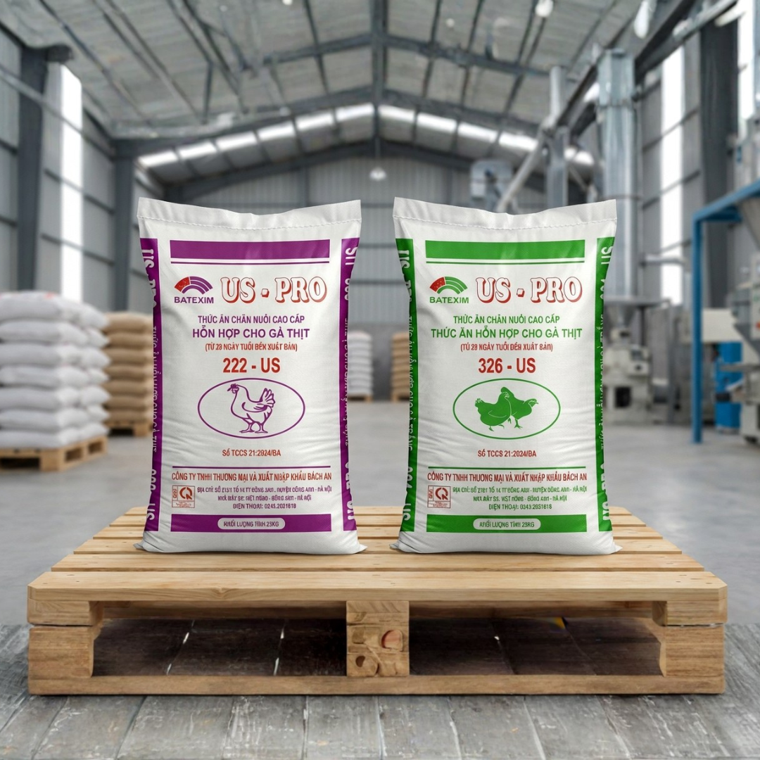 Gà trưởng thành giai đoạn 2